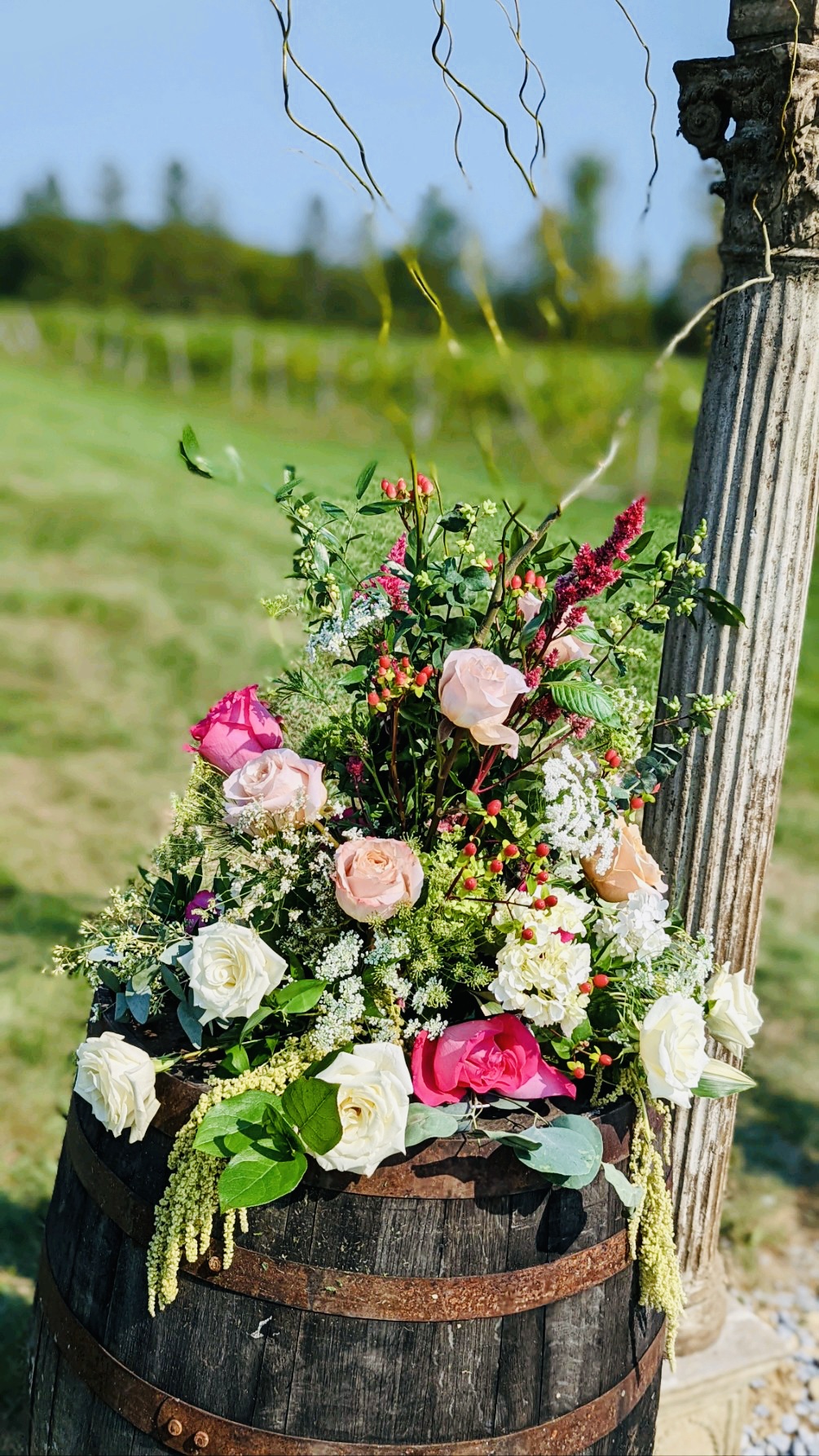Altamont Vineyard & Winery