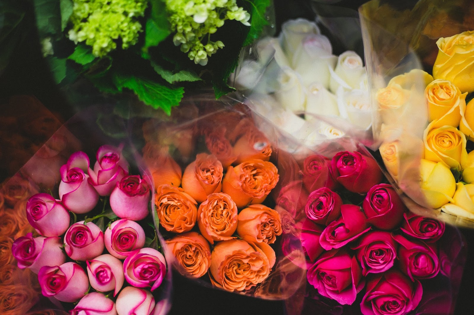 Bountiful Blooms Florist & Flower Delivery