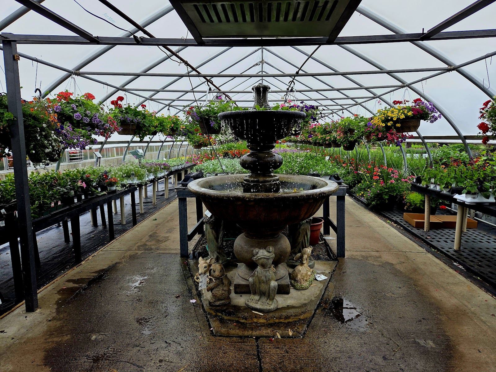 Laurel Grove Florist & Green Houses LLC