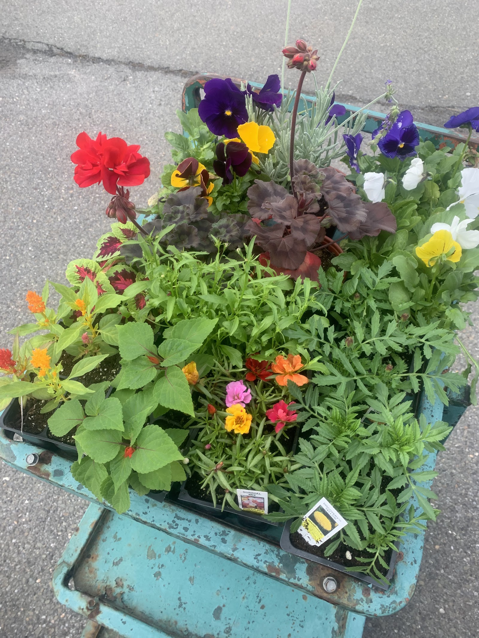Monticello Greenhouses, Inc.