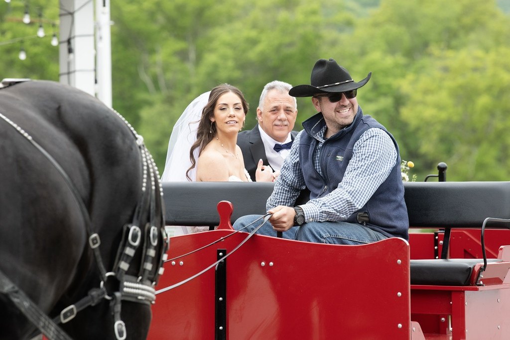 DeeAnn Donovan Photography